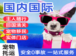 乌审旗嘎鲁图机场托运国际宠物托运 【国